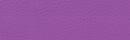 Purple faux leather Optio 013 F-505