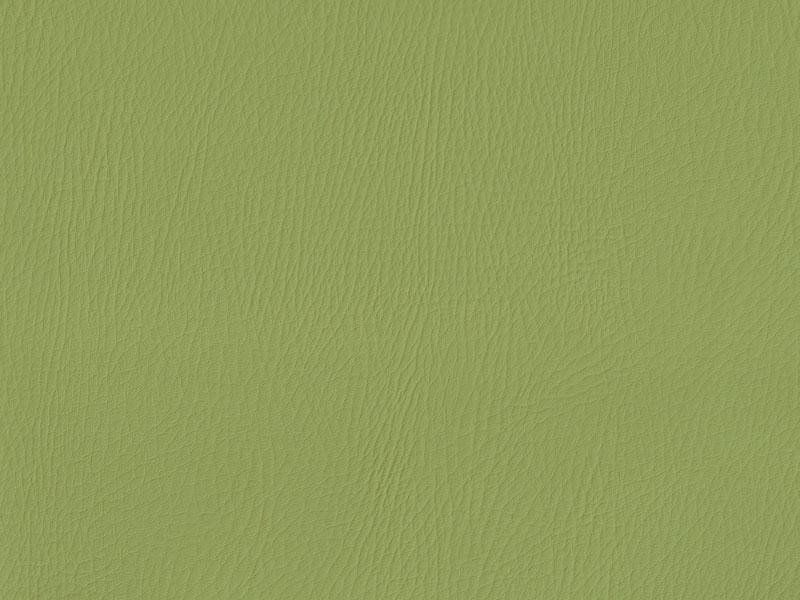 Light green synthetic leather Optio 101 Z-21