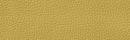Mustard faux leather Optio 553 BE-8